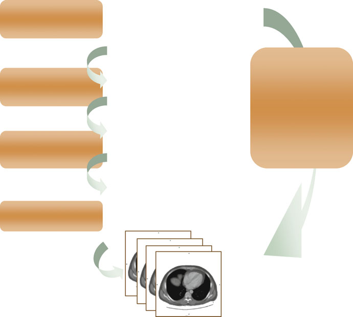 Hierarquia de informação DICOM Patient-Study-Series-Image com UIDs de identificação única