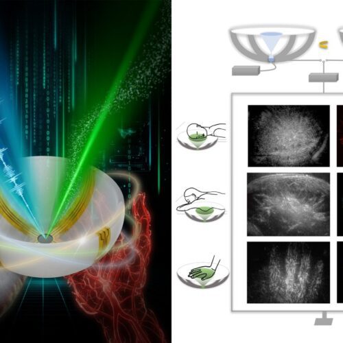 Ultrassom em Cores 3D: Nova Era do Diagnóstico