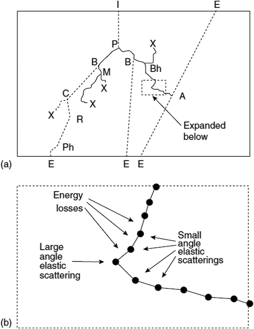 Simulação acoplada fóton-elétron mostrando produção de pares, bremsstrahlung, Compton, Møller, Bhabha e aniquilação