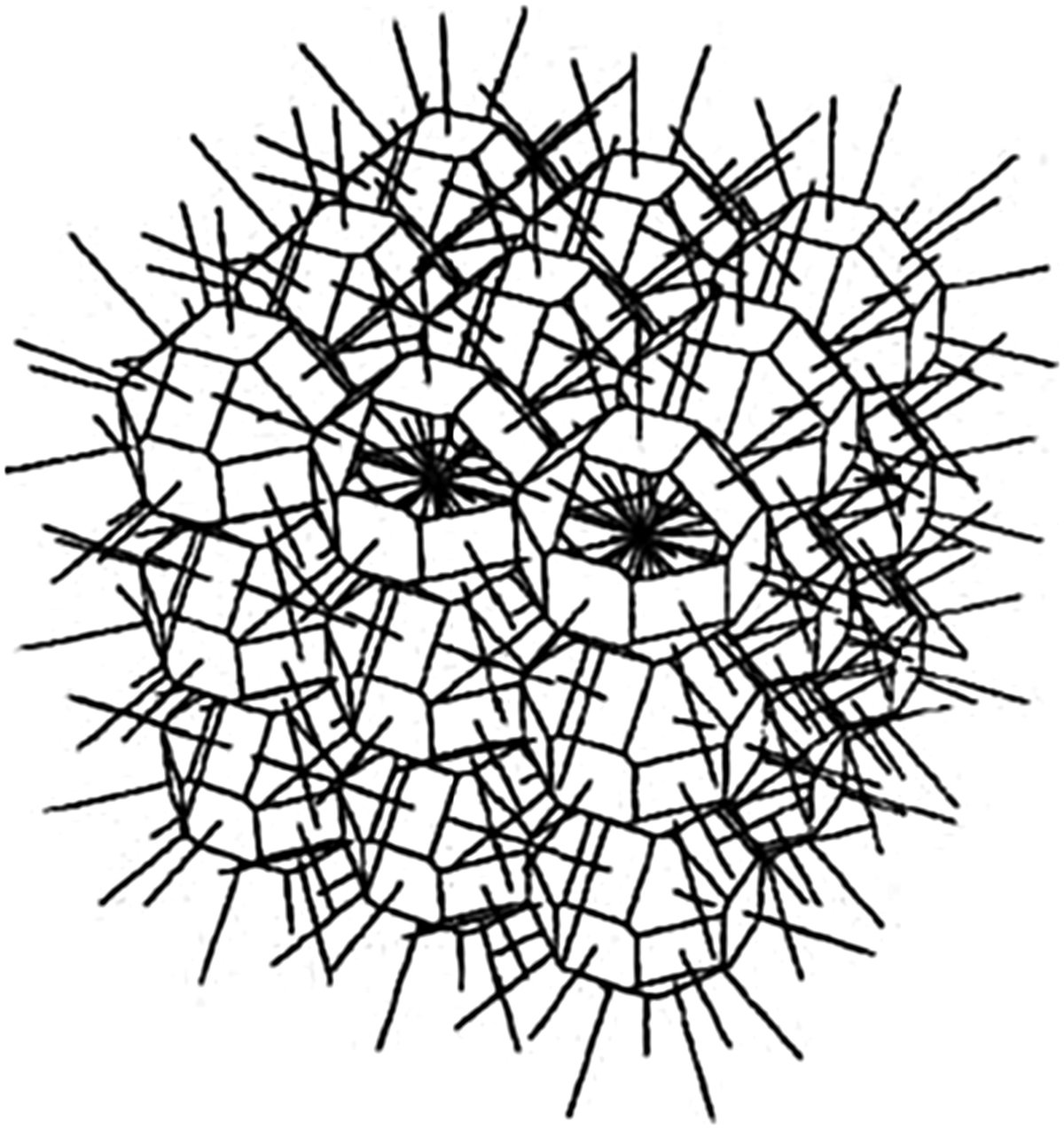 Representação esquemática de 26 direções discretas de transporte de partículas no método collapsed cone convolution com 13 eixos de cone