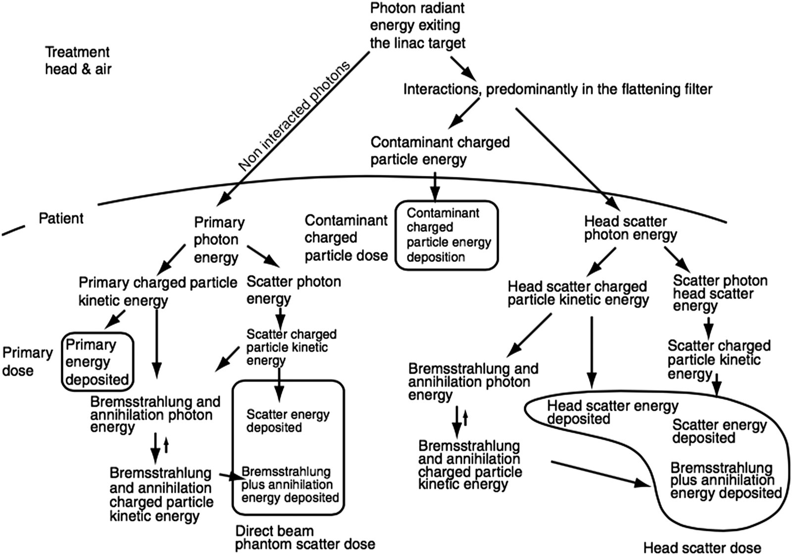 Diagrama esquemático dos componentes de dose em feixes clínicos de fótons: dose primária, espalhamento no fantoma, espalhamento no cabeçote e contaminação por partículas carregadas