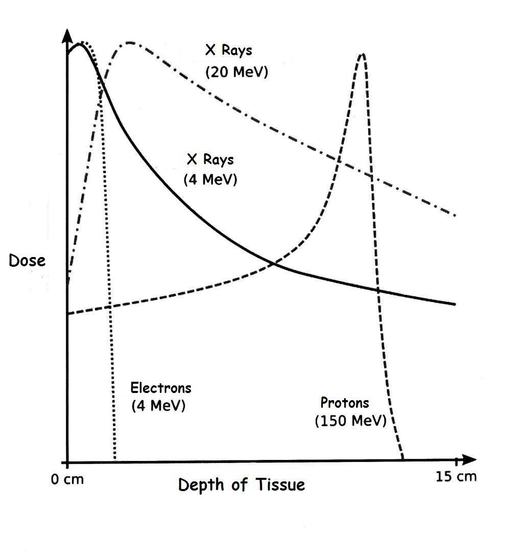 Quality assurance system in proton therapy with Monte Carlo dosimetric verification