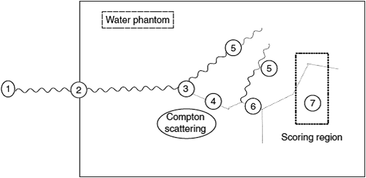 Diagrama esquemático da história de um fóton em água simulada por Monte Carlo, mostrando espalhamento Compton, elétrons secundários e região de scoring