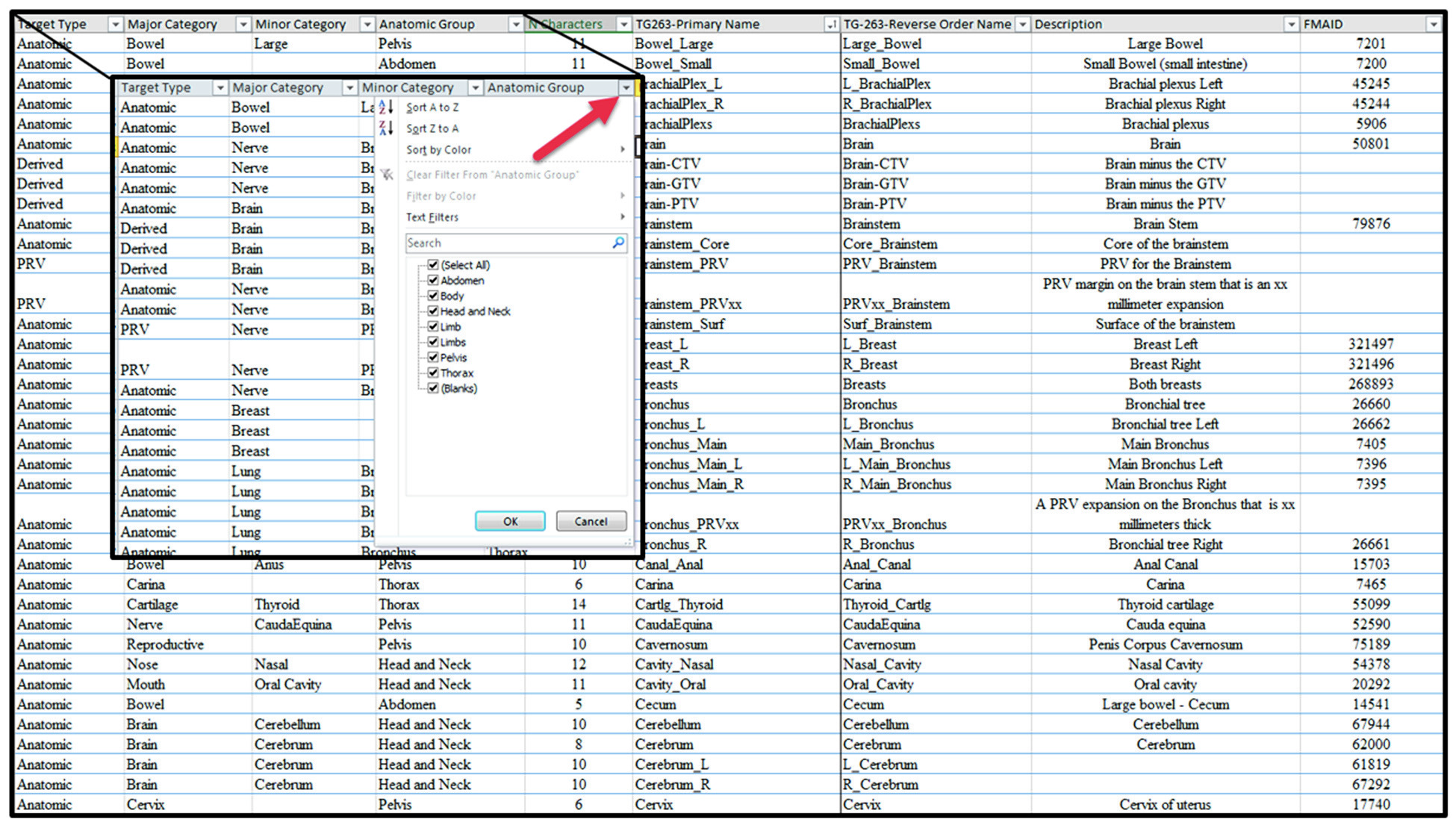 TG-263 nomenclature spreadsheet showing structure categories and naming conventions