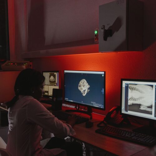 Las 6 principales tendencias de la radiología en 2026