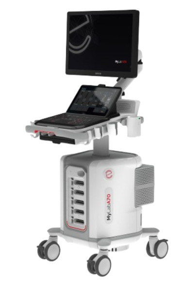 Premium Ultrasound: AI, Elastography and CEUS