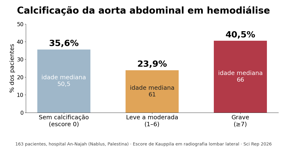Gráfico da distribuição da calcificação da aorta abdominal em 163 pacientes em hemodiálise pelo escore de Kauppila