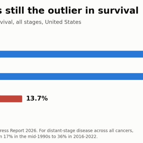 Cancer Survival Rises as AI Enters Screening