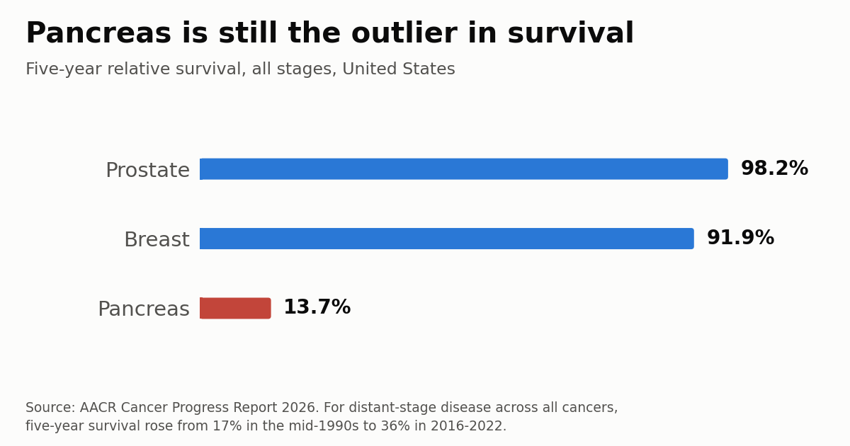 Cancer Survival Rises as AI Enters Screening