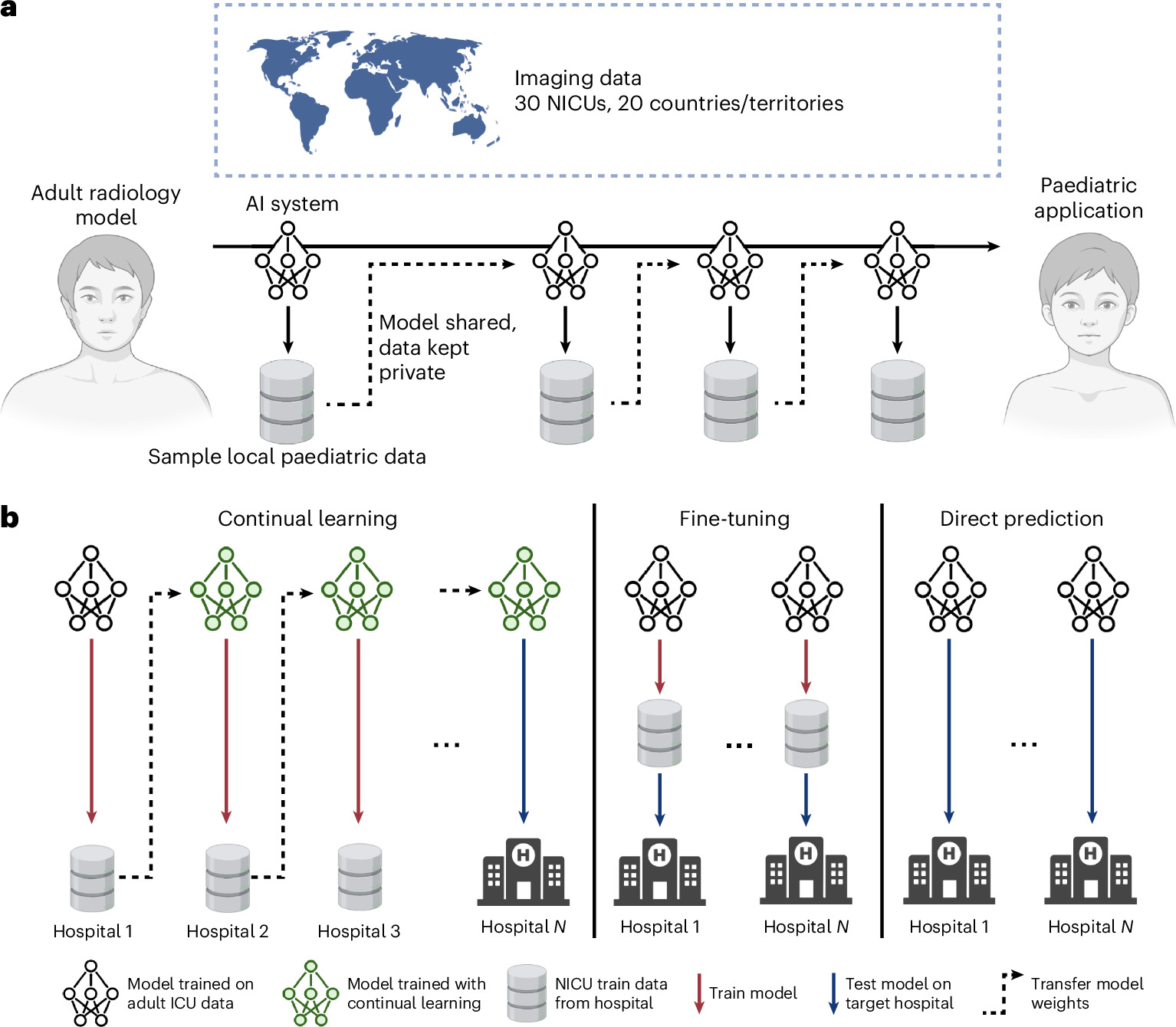 Continual learning diagram: an AI model trained on adult radiographs moves from hospital to hospital and is retrained on local neonatal data without sharing patient images